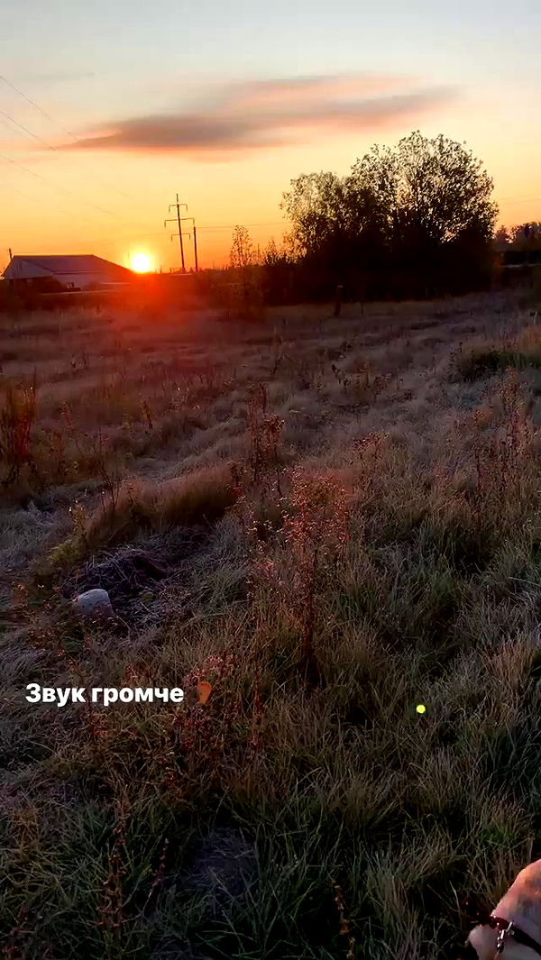 nyityam archive video preview