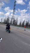 shanidahan7 Altpins Profile Picture