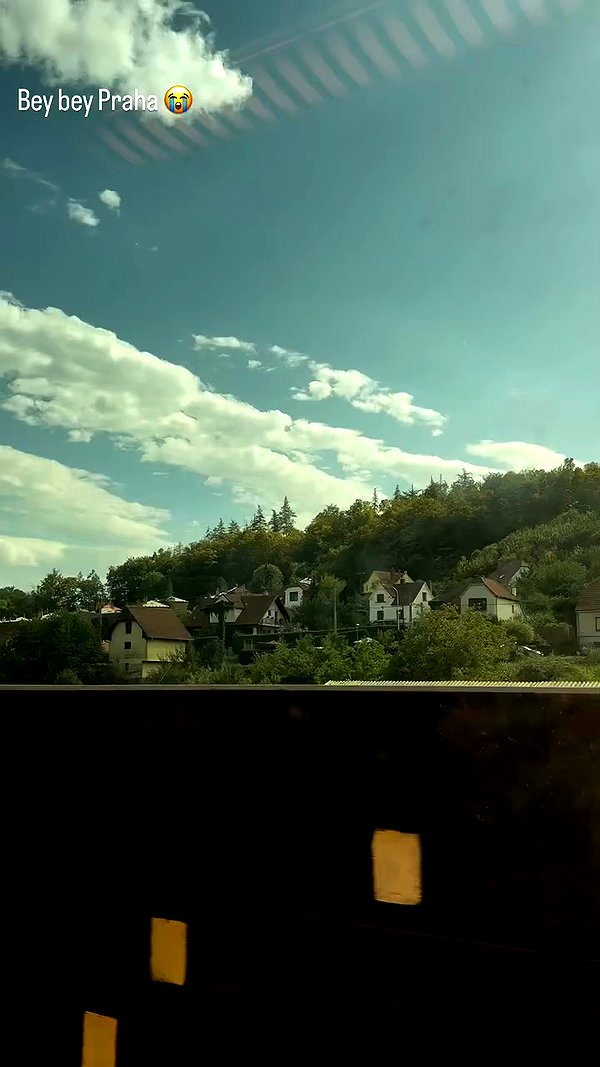 _.shelichka._ archive video preview
