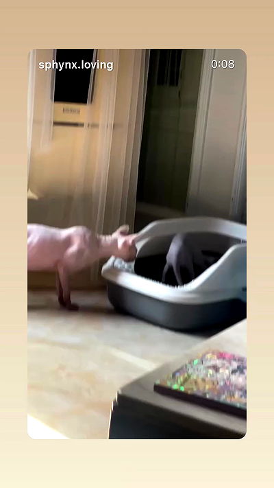 _parismlk _parismlk archive video