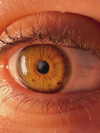 hadas_mayer_ Altpins Profile Picture