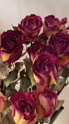 babynympho_archive Altpins Profile Picture
