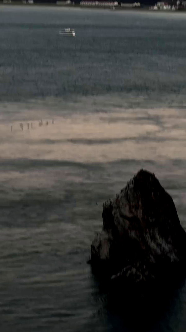 orman.mariee archive video preview