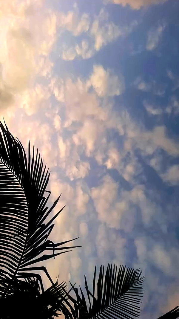 elizabethcampbelljones archive video preview