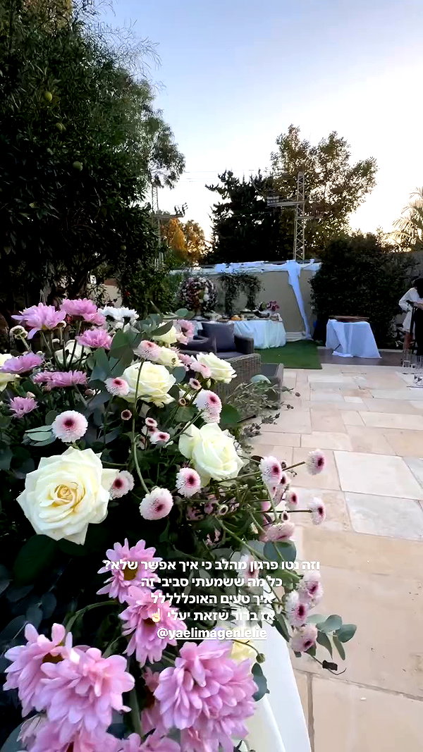 annezivi archive video preview