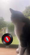 xec_frey Altpins Profile Picture