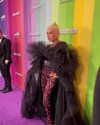 xtina Altpins Profile Picture