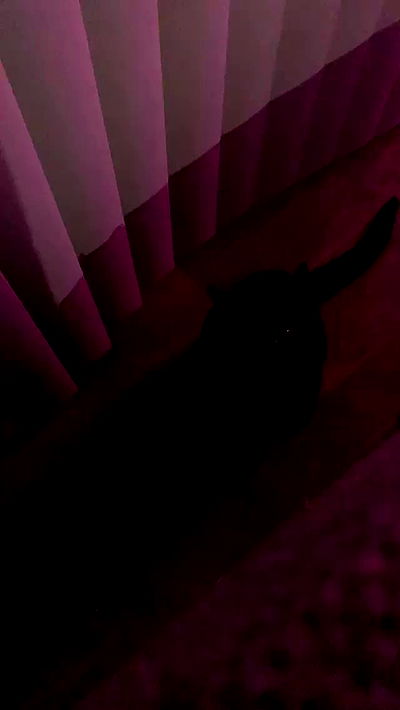 suikomuu suikomuu archive video