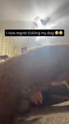 itsselenegrey Altpins Profile Picture