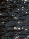 naivems_ Altpins Profile Picture