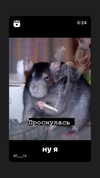 daryanedarya Altpins Profile Picture
