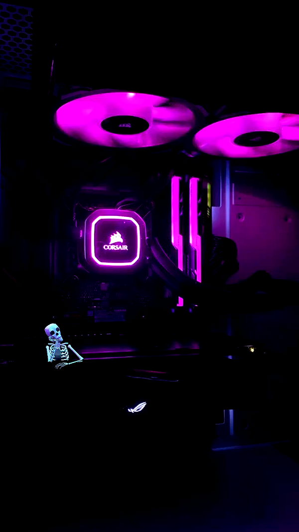 edenleiv archive video preview