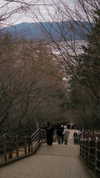 4ure1i2 Altpins Profile Picture