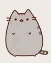 catl0verr69 Altpins Profile Picture