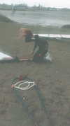 surfsterre Altpins Profile Picture
