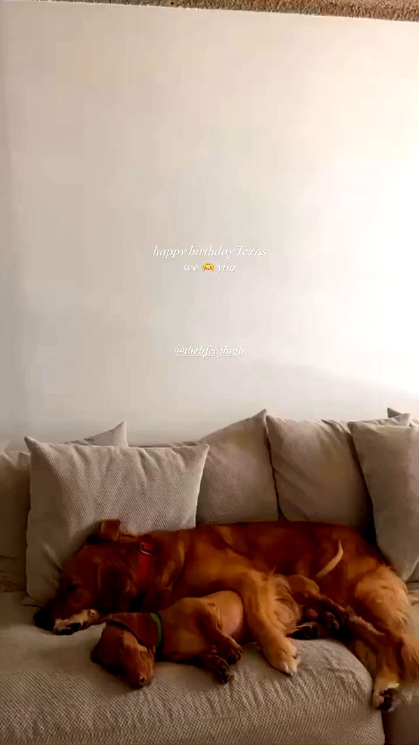 edenharper archive video preview