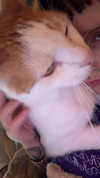 strawberryshanz Altpins Profile Picture