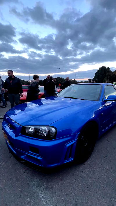 simp_for_cats_ simp_for_cats_ archive video