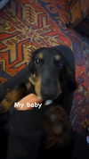 libby_reut Altpins Profile Picture