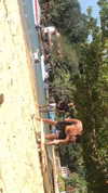 maori_cohen Altpins Profile Picture