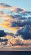 lissi77 Altpins Profile Picture