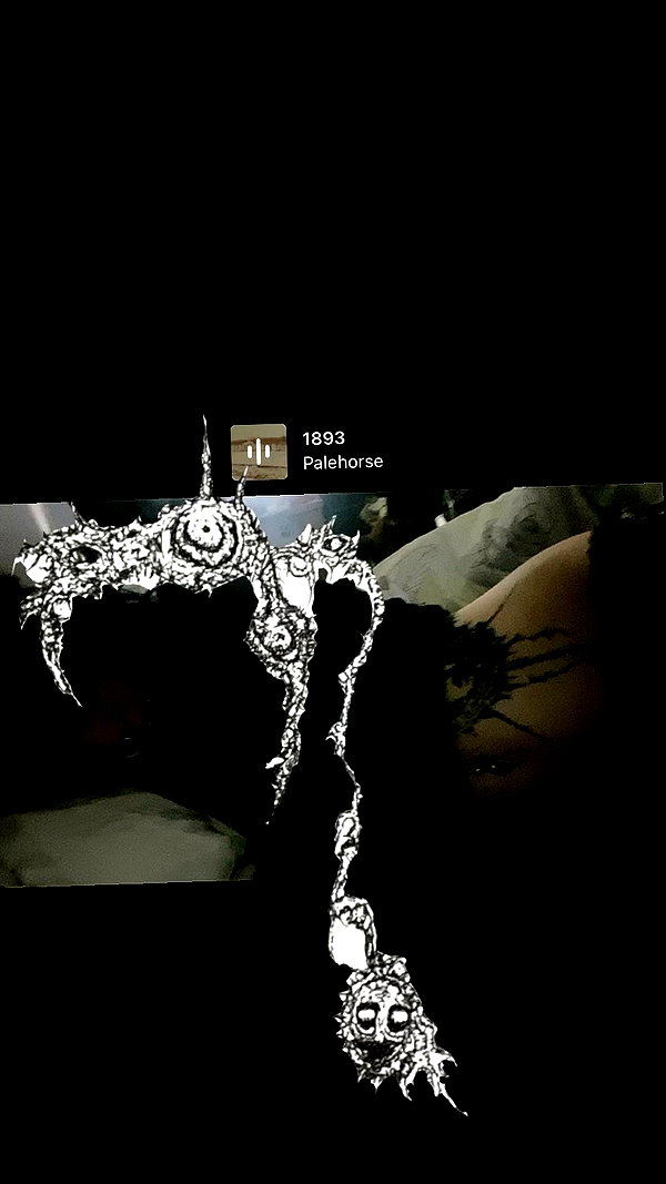 cannibal.junkie archive video preview