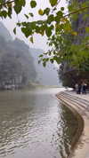 __yaheli_ Altpins Profile Picture
