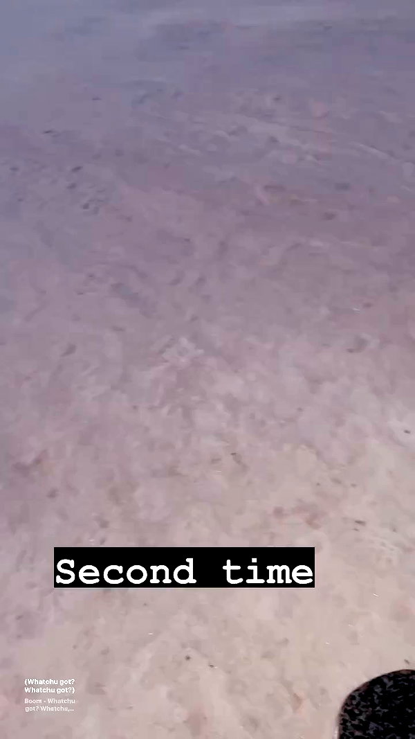 venecatattoo archive video preview