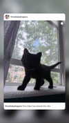 illtilldeath Altpins Profile Picture