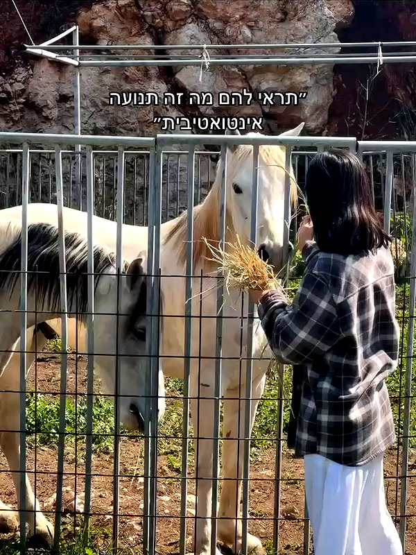 yuval_raz archive video preview