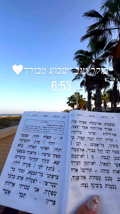 liad.arazi liad.arazi archive video