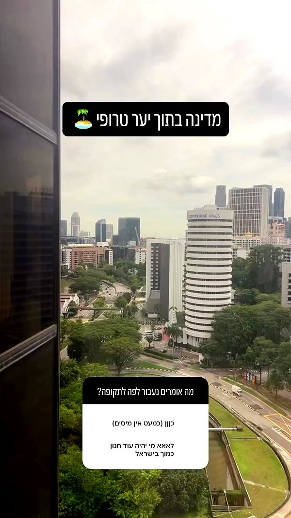 sapir_shemer archive video preview