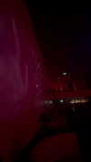 federica.piccinni Altpins Profile Picture