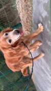 analuvillarreal Altpins Profile Picture
