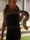 kyla.doddsss Altpins Profile Picture