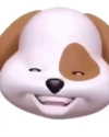 leanbeefpatty Altpins Profile Picture