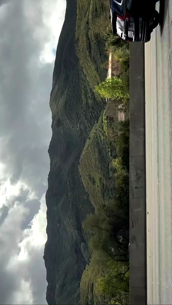 zommmbri archive video preview