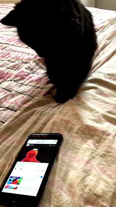 iluvmeww iluvmeww archive video