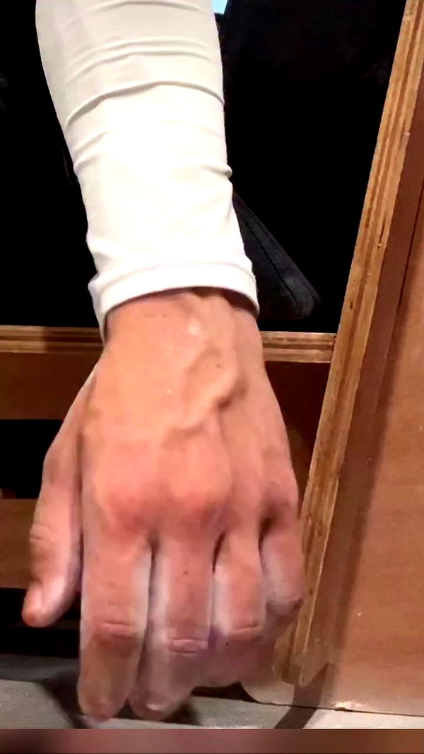 swholeanimal archive video preview