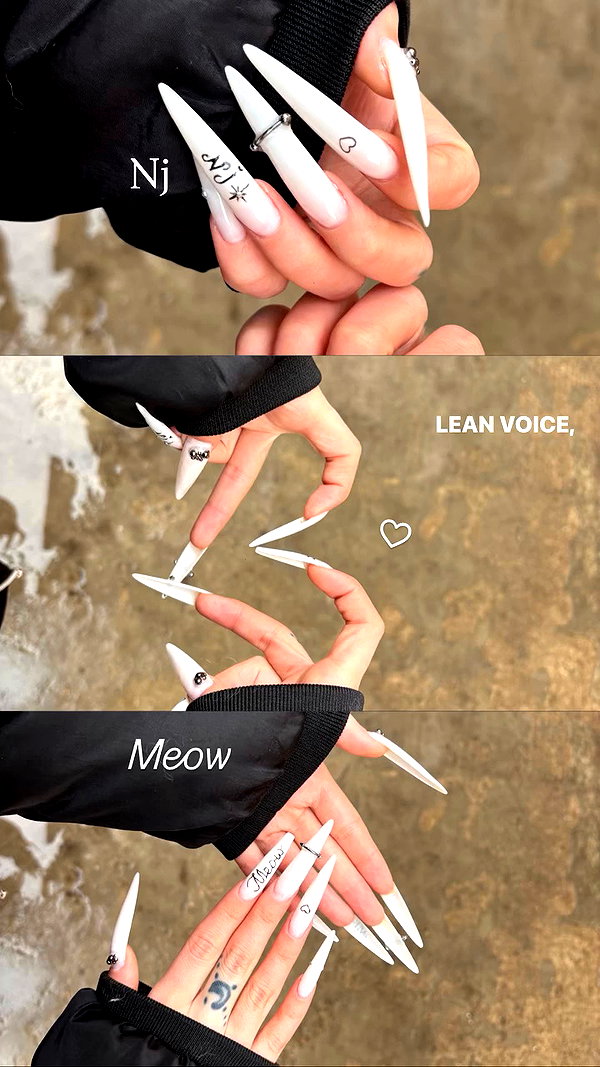 meow.mn2 archive video preview