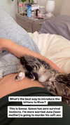 gabbyepstein Altpins Profile Picture