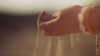 isrotel.hotels Altpins Profile Picture