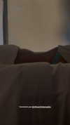 gabimfmoura Altpins Profile Picture