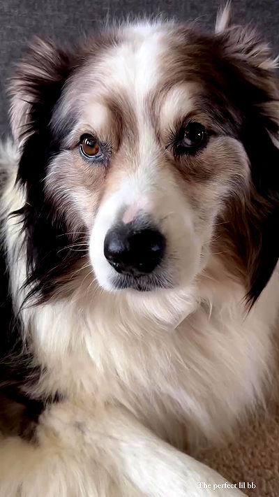 taylor.creeden taylor.creeden archive video