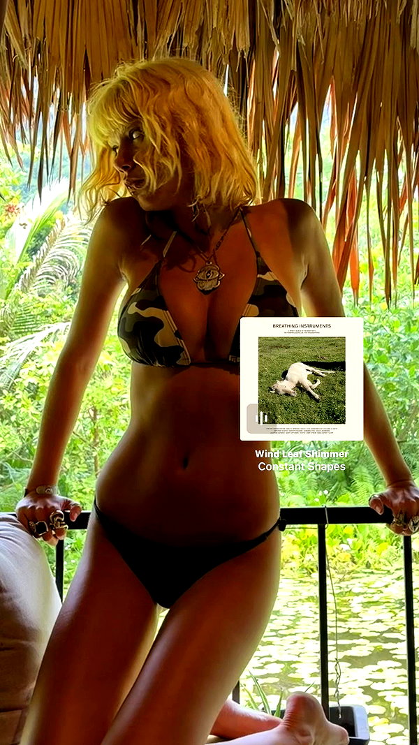 elia.shinar archive video preview