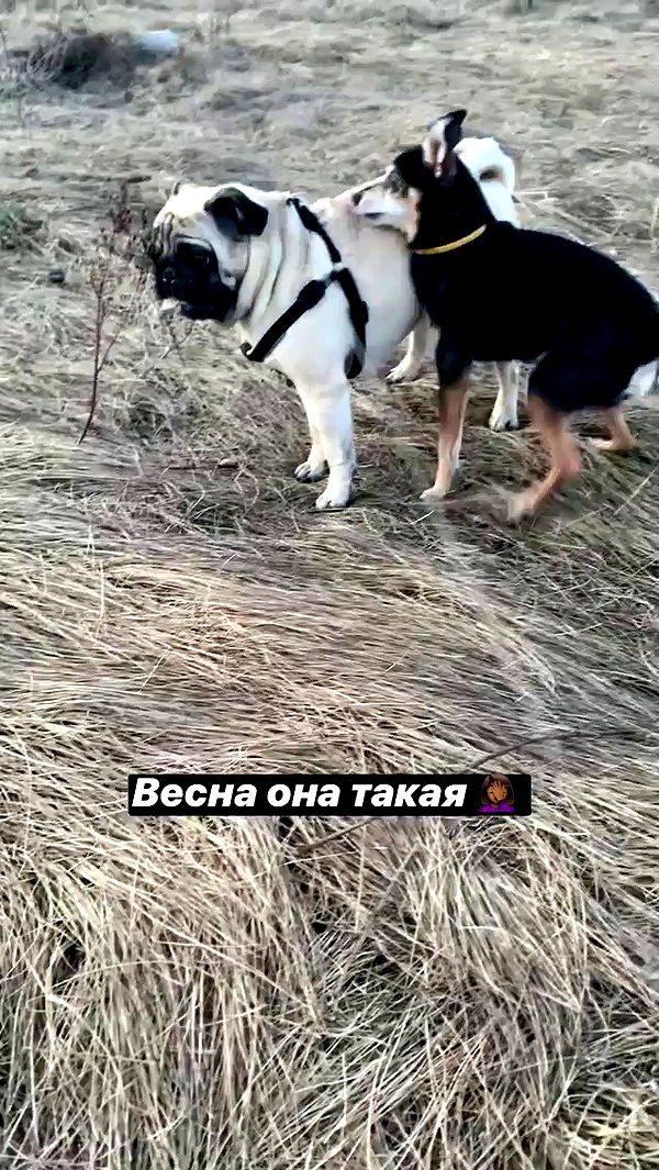 nyityam archive video preview