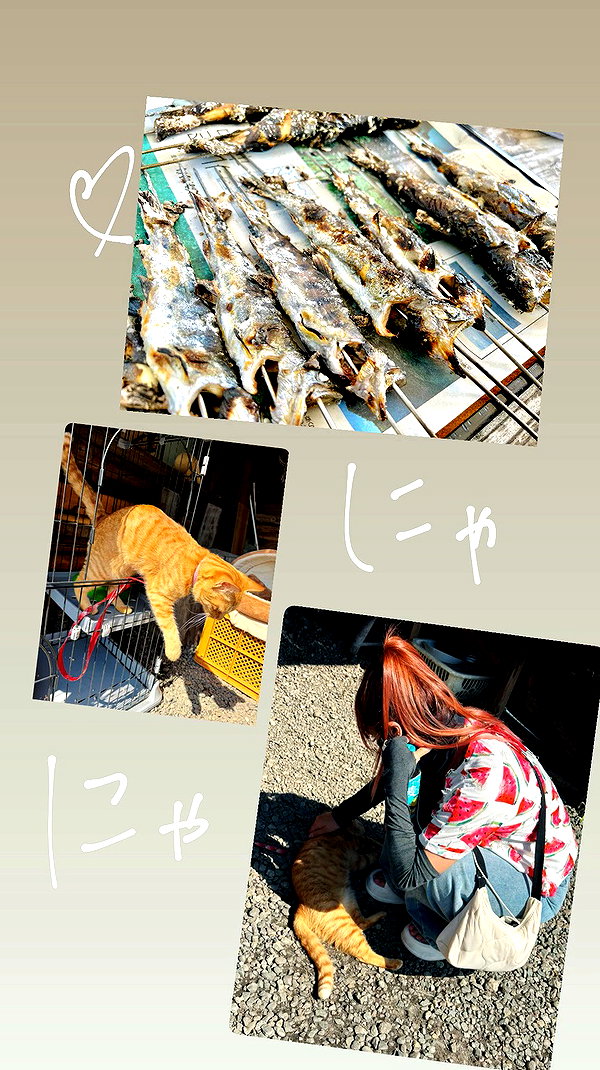 nanasemeron archive video preview