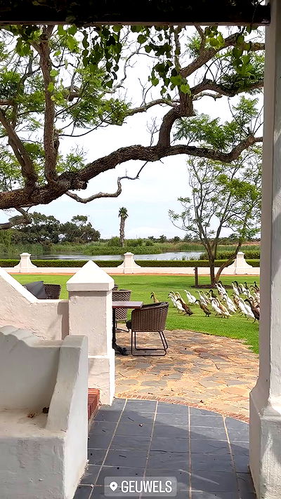 taylor.creeden taylor.creeden archive video