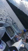 analuvillarreal Altpins Profile Picture