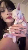 fallen.angel2007 Altpins Profile Picture